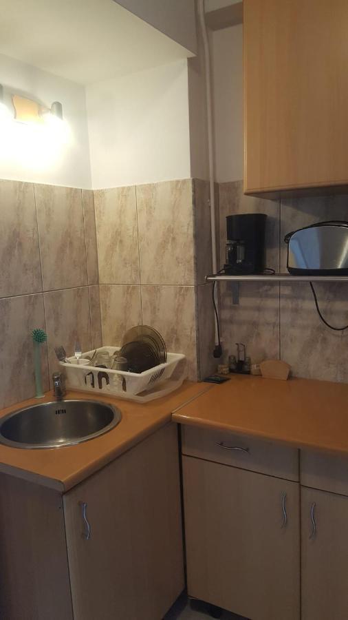 Calea Victoriei Appartement Bucarest