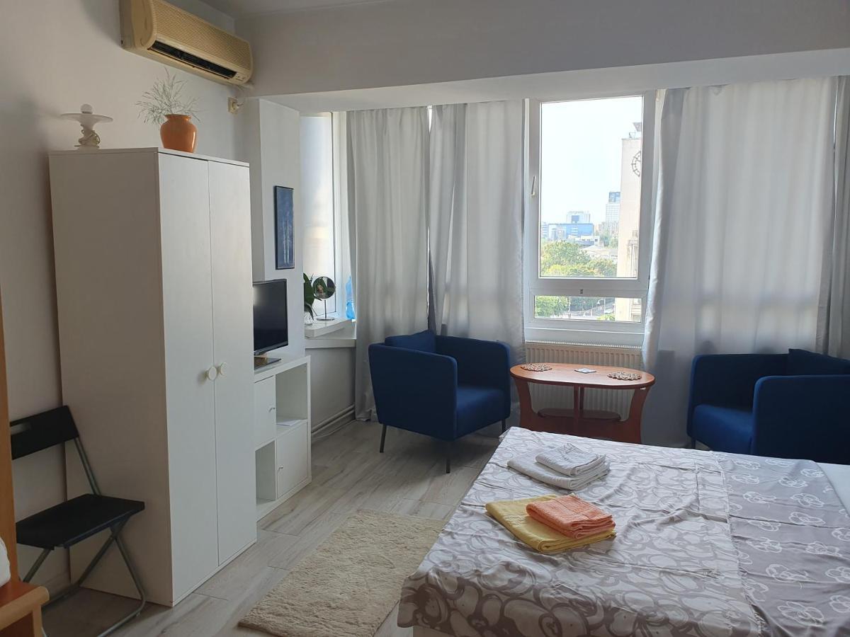 Calea Victoriei Appartement Bucarest