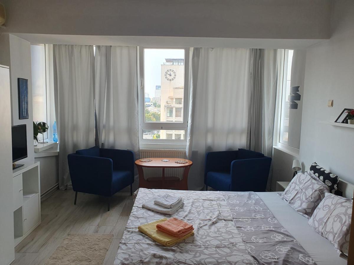 Calea Victoriei Apartment